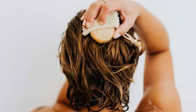 Myths vs. Facts: Debunking Common Monsoon Hair Care Myths