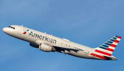 Bizarre: American Airlines Makes Emergency Landing After Passengers Spot Lice In Woman's Hair