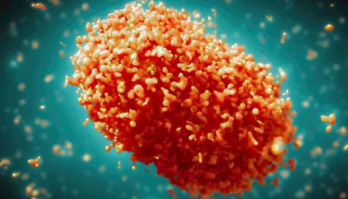 Mpox Virus: Deadly Monkeypox Outbreak In Africa, WHO May Declare A Global Emergency Mpox Virus: Deadly Monkeypox Outbreak In Africa, WHO May Declare A Global Emergency