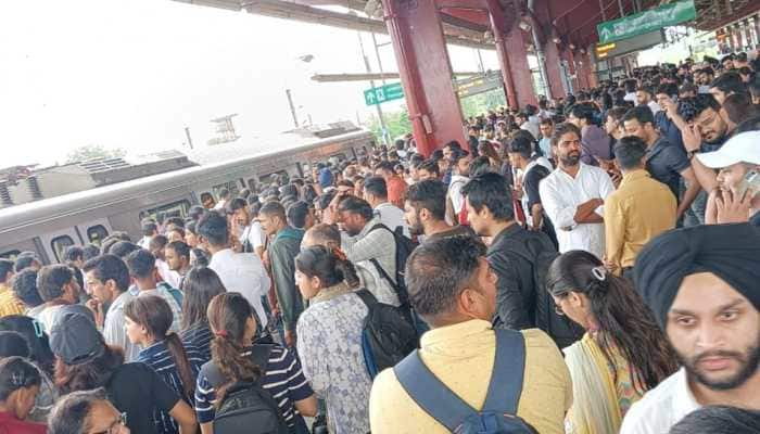 Delhi Metro&#039;s Blue Line Services Hit Briefly After Man Dies By Jumping On Track