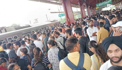 Delhi Metro's Blue Line Services Hit Briefly After Man Dies By Jumping On Track