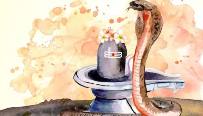 Nag Panchami 2024: Do This To Make Rahu-Ketu Ineffective And Alleviate Kaalsarp Dosha
