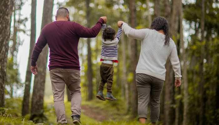 Elephant Parenting: Nurturing The Next Generation With Love And Care