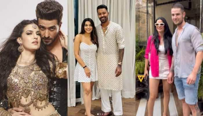 EXPLAINED: Why Hardik Pandya & Natasa Stankovic Got Divorced? In Pics