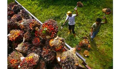 Smallholder Farmers Express Gratitude To The Asian Palm Oil Alliance For Advocacy