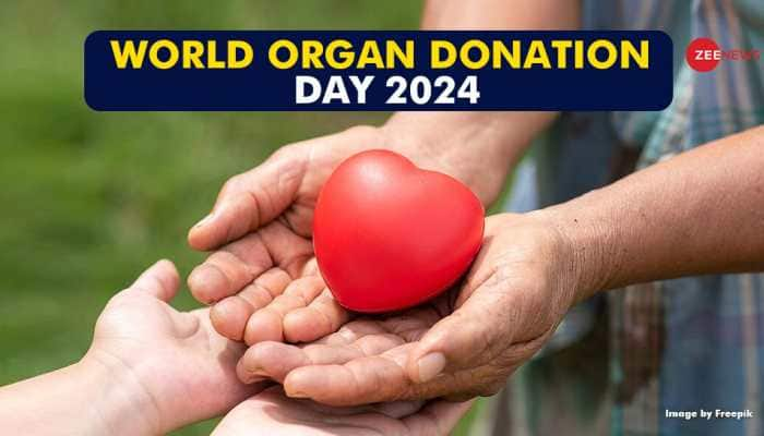 National Organ Donation Day 2024: Significance, History &amp; Government Schemes 