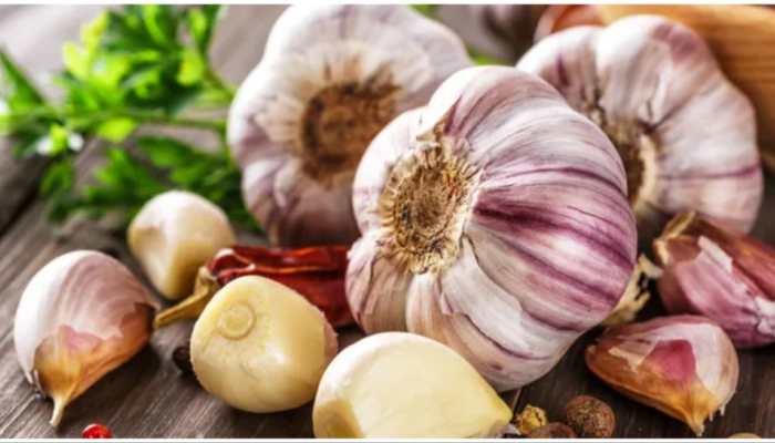 Burning Garlic Question! Is It A Vegetable Or Spice - Madhya Pradesh High Court Finally Decides