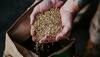 8 Carb Grains With Benefits, Fiber-Rich Choices for Better Health