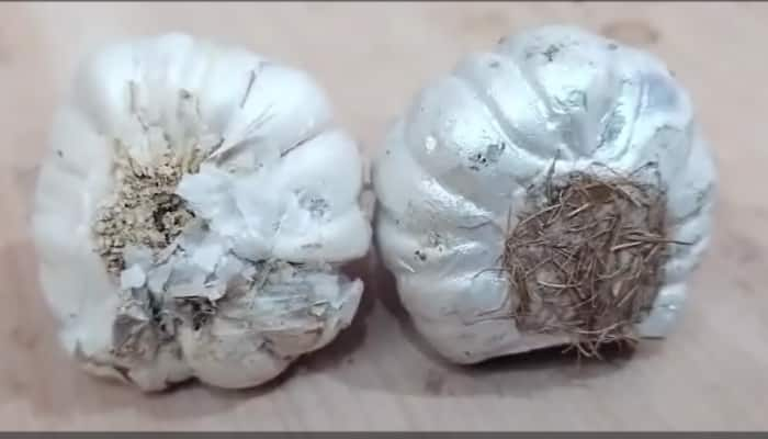 Fake Garlic Scam Hits Maharashtra&#039;s Akola, Ex-Cop&#039;s Wife Duped - Watch