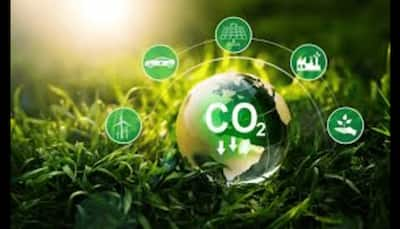 Sustainable Living: Practical Steps to Reduce Your Carbon Footprint