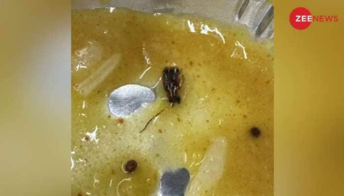 Vande Bharat Express Premium Image Stained As Cockroach Found In Meal; People React On Social Media