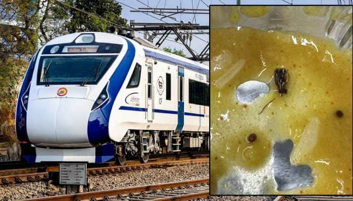 Shocking: Cockroach Found In Vande Bharat Meal, Passenger Outraged