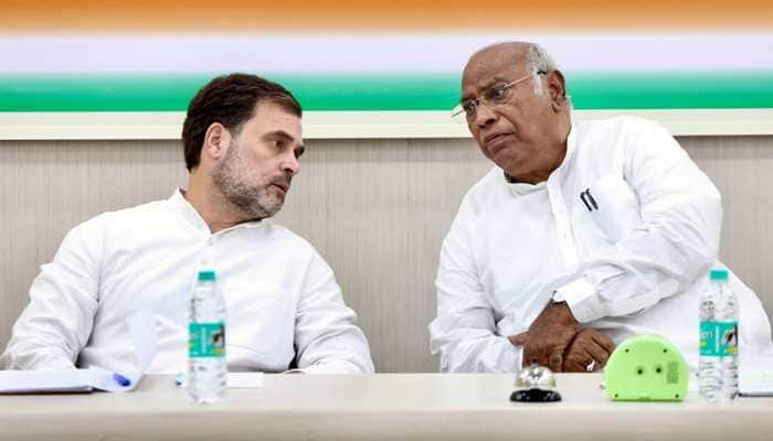 &#039;Rahul Gandhi Would Have Become PM Replacing Narendra Modi Had...&#039;: Congress President Kharge