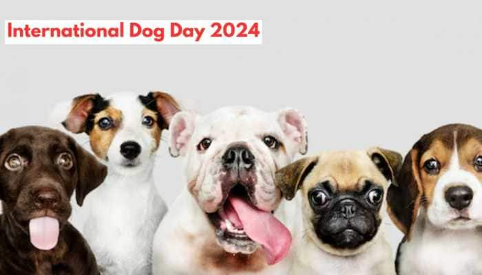 International Dog Day 2024: Date, History, Significance, And More