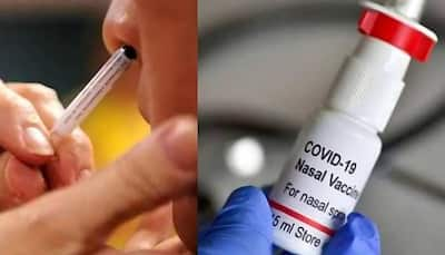 Needle-free Covid Vaccine: A Game Changer On The Horizon, Says New Study 