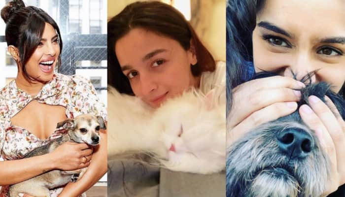 10 Well-Known Celebrities Who Love Their Pets