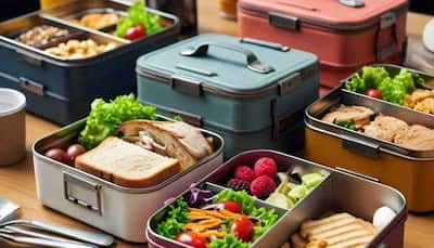 The Ultimate Guide To Top Lunch Boxes