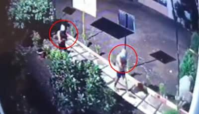 'Underwear Gang' Strikes In Nashik, Steal Gold And Bananas; Act Caught On CCTV