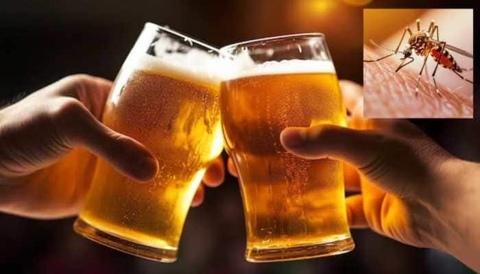 Beer Lovers Beware! Viral Study Claims You’re A Mosquito Magnet, And Netizens React Hilariously