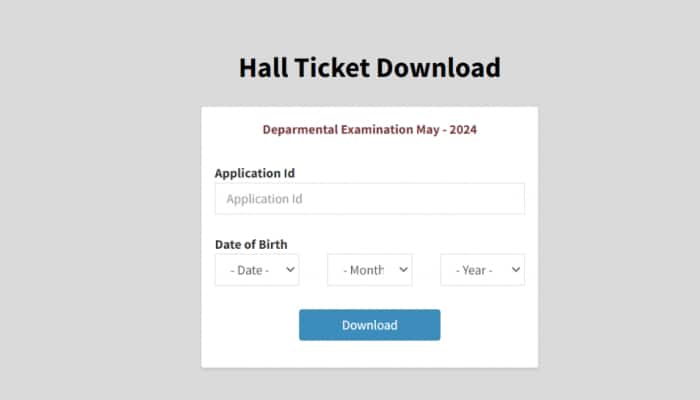 TNPSC Group 2 Hall Ticket 2024 Released At tnpsc.gov.in- Check Direct Link Here