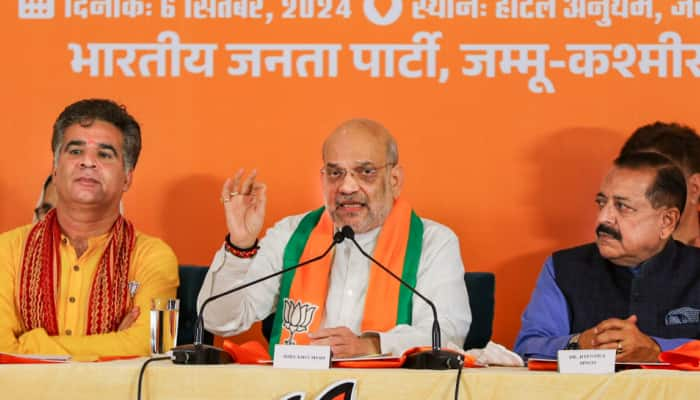 Article 370 ‘History’: Amit Shah Declares As BJP Releases Ambitious J&amp;K Poll Manifesto | Key Highlights 