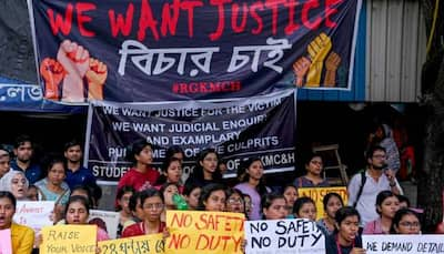 Kolkata Doctor Rape Murder Case: 'Shall I Grant Bail To Rape Accused Sanjay Roy?’ Court Gets Agitated Over CBI's Lawyer Absence