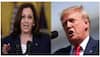 Why Hindus Back Trump Over Indian-Origin Kamala Harris 