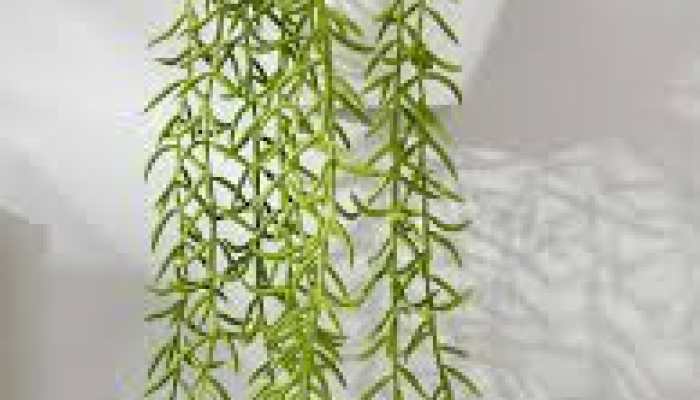 Top Artificial Plants to Elevate Your Home Décor