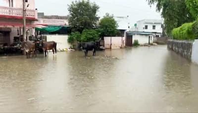 Maharashtra Rains: 2 Killed In House Collapse, Roads Inundated Amid Heavy Showers In Gondia