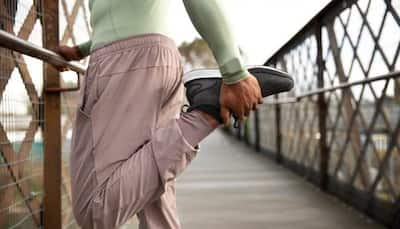 The World Of Women Joggers: Soft, Swift and Comfortable