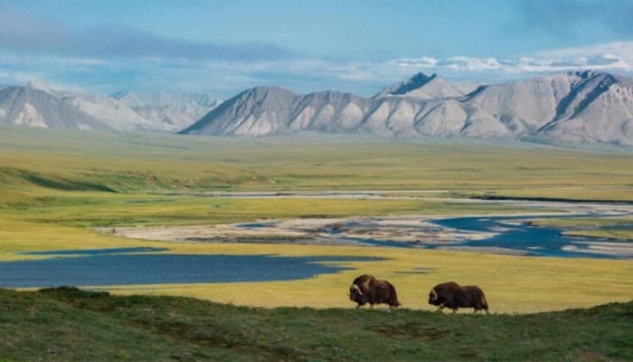 5 Massive National Parks That Cover Entire Countries 