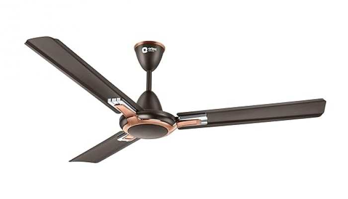 Top Products in the Ceiling Fan Category