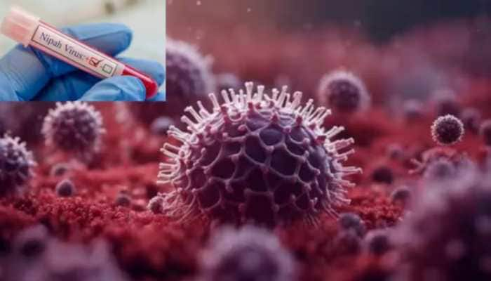 Nipah Virus Threat: Kerala Places 175 People On Contact List, Heightens Containment Measures