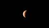 Lunar Eclipse 2024