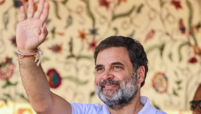 Jammu &amp; Kashmir Assembly Elections: Rahul Gandhi To Address 2 Rallies In J&amp;K Today