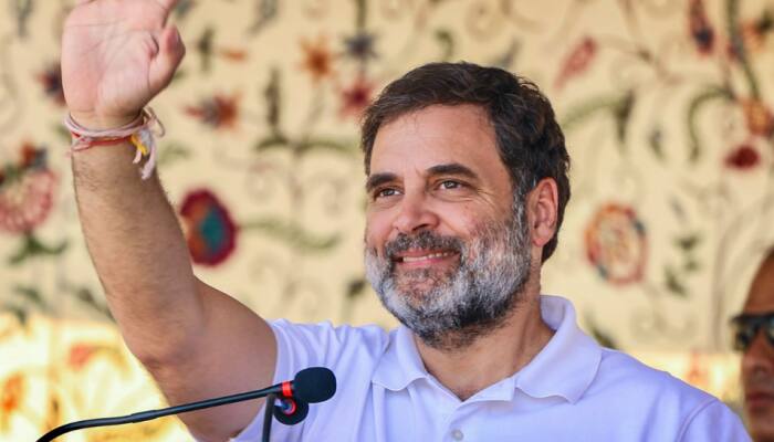 INDIA BLOC Will Hit Roads If BJP Doesn't Restore J-K Statehood: Rahul In Jammu