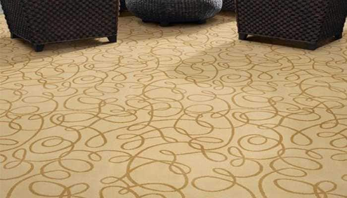 Soft Landing: Luxurious Carpets for Ultimate Comfort