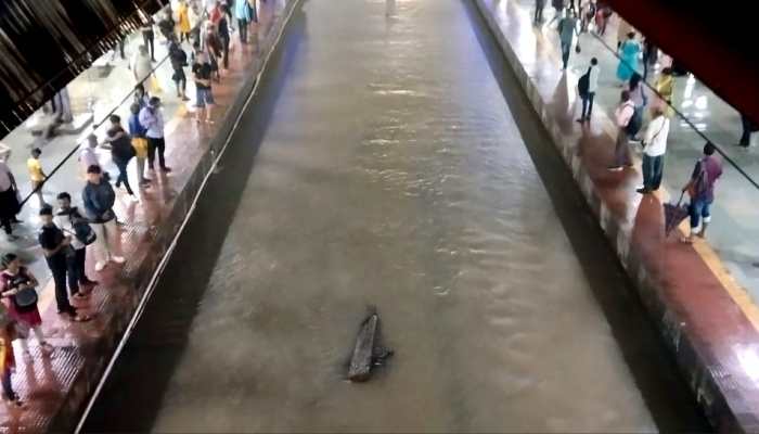 Mumbai Rains: IMD Forecasts More Showers In Maharashtra, Issues Alert Mumbai Rains: IMD Forecasts More Showers In Maharashtra, Issues Alert