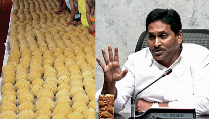 Citing &#039;Monster&#039;s Regime&#039;, Jagan Reddy Cancels Tirupati Temple Visit