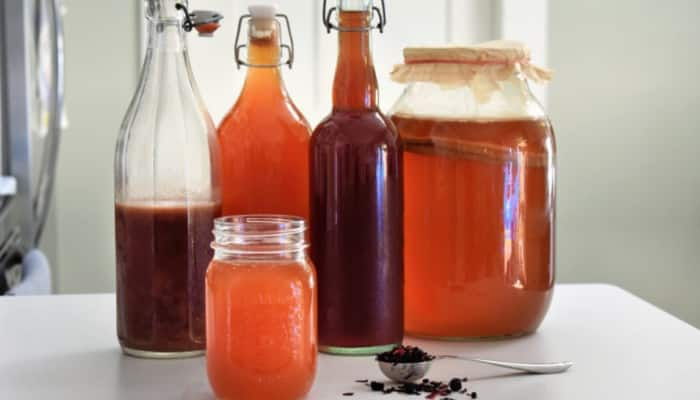 Brew Your Kombucha at Home: A Step-by-Step Guide