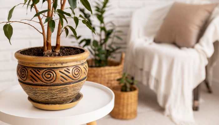 Myntra Big Fashion Festival: Offers On Home Decoration Products Myntra Big Fashion Festival: Offers On Home Decoration Products