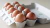 How many eggs per day