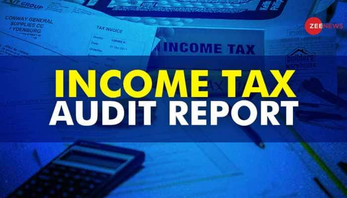 Income Tax Audit Report Deadline Extended For AY 2024-25: Check New Date, Penalty, And How To Submit Online 