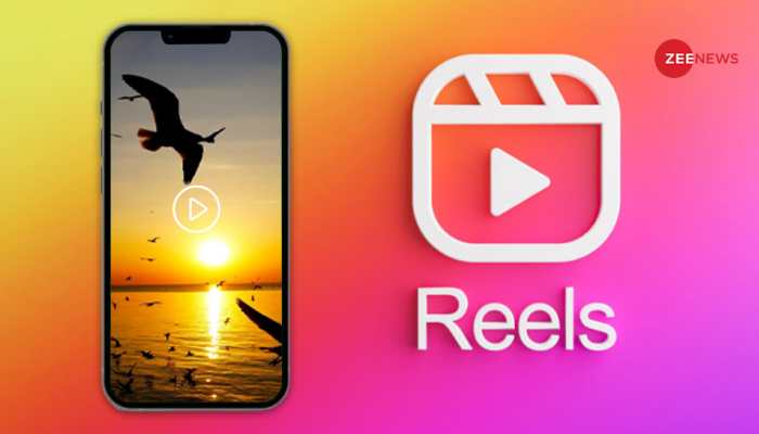 How To Share Instagram Reels On WhatsApp; Follow THESE Simple Steps How To Share Instagram Reels On WhatsApp; Follow THESE Simple Steps