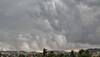 monsoon news