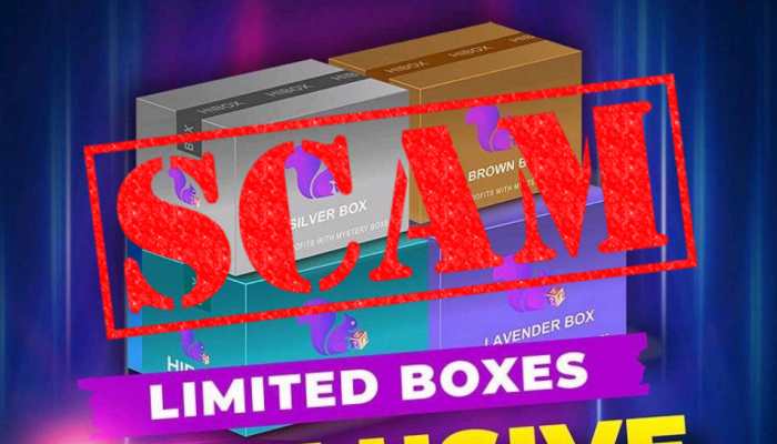 Hibox Mystery Box Scam: App Endorsed By Elvish Yadav Accused Of Cheating 30,000 People Hibox Mystery Box Scam: App Endorsed By Elvish Yadav Accused Of Cheating 30,000 People