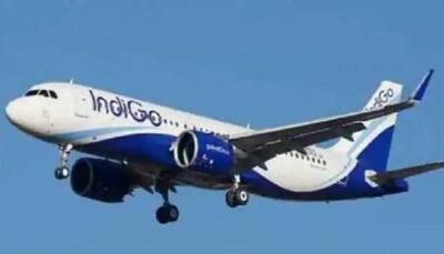 IndiGo System Outage: Flight Delays Affect Passengers Nationwide, Long Queues At Airports