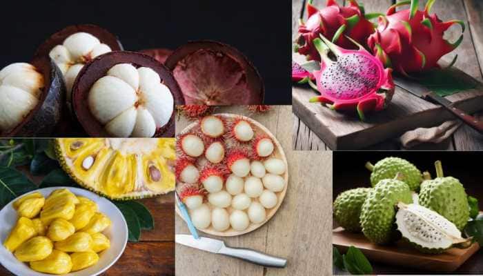5 Exotic Fruits To Enhance Your Healthy Lifestyle