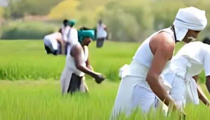 PM Kisan Yojana 18th Installment Released; Check Eligiblity, Complete eKYC And Check Beneficiary Status 