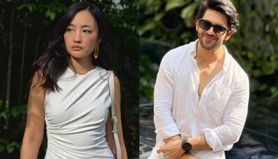 'Bigg Boss 18' Day 1: Shehzada Dhami Questions Chum Darang's Indian Roots